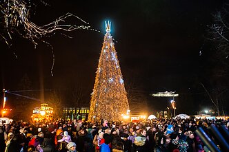Druskininkų Kalėdų eglės įžiebimas