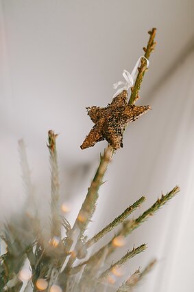 Švenčių laukimas Eglės Daugėlaitės namuose