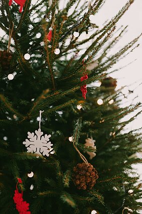 Švenčių laukimas Eglės Daugėlaitės namuose