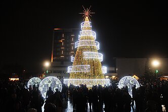 Marijampolė Christmas tree