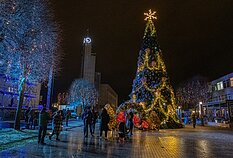 Alytaus miesto savivaldybės nuotr. 