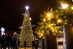Kalėdų eglės įžiebimas Molėtuose