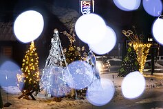 Kalėdų eglės įžiebimas Molėtuose