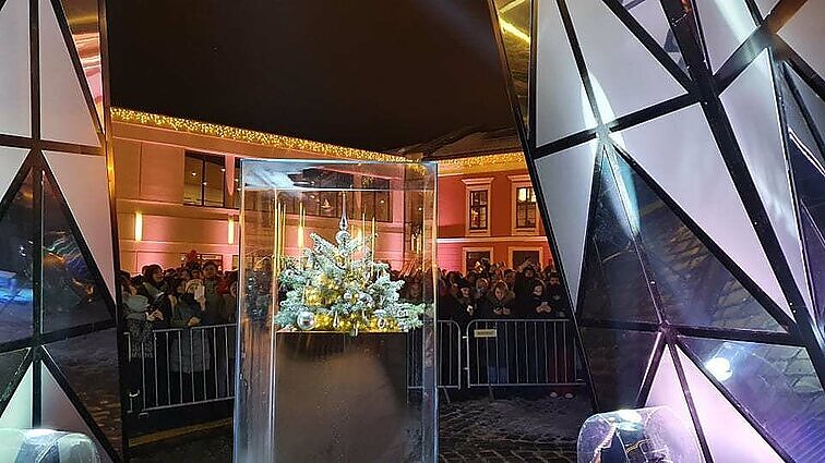 Uostamiestis įžiebė Kalėdų eglę: išskirtinė žaliaskarė – vos 55 cm aukščio