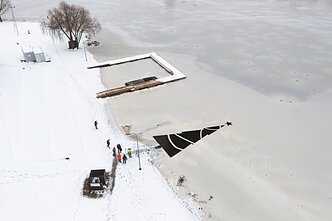 Eglė eketėje