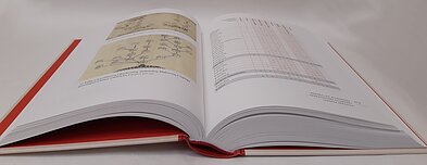 Agnės Railaitės-Bardės monografija „Origo et Arma“