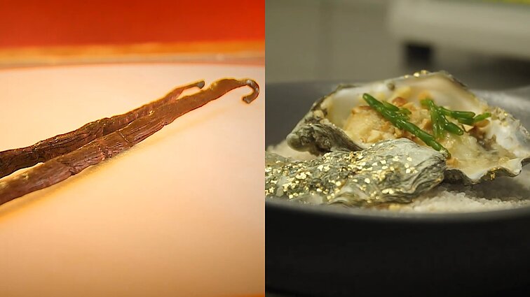 Vartotojų kontrolė. Vanilės skirtumas nuo vanilino ir jūros gėrybių šviežumas Lietuvoje