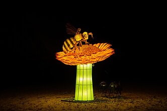 Žibintų ir šviesos instaliacijų festivalis Rumšiškėse