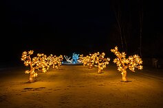 Žibintų ir šviesos instaliacijų festivalis Rumšiškėse