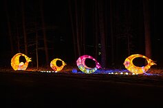 Žibintų ir šviesos instaliacijų festivalis Rumšiškėse