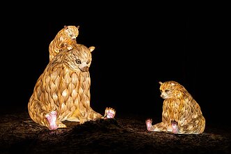 Žibintų ir šviesos instaliacijų festivalis Rumšiškėse