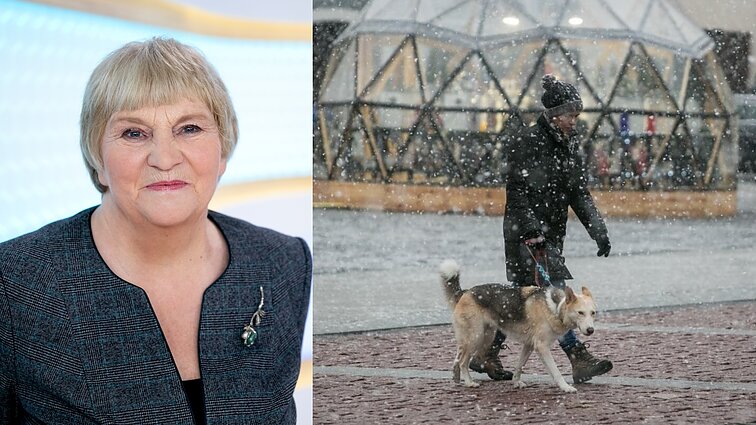 Beveik sulaukus baltų Kalėdų, Galvonaitė įspėja: atidūs turėtų būti keliaujantieji namo