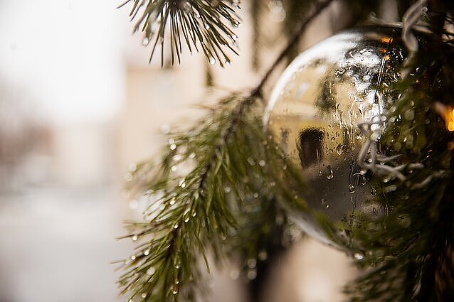 Meteorologas: artėjant Naujiesiems laukia permainos – žiemiški orai iš Lietuvos trauksis