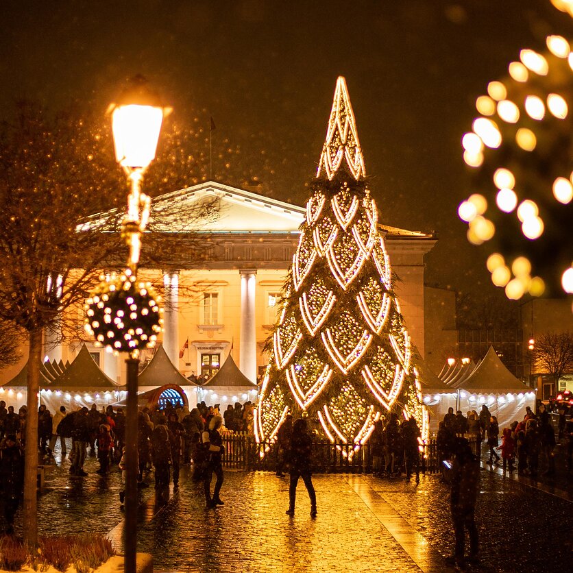 D. Umbraso  / LRT nuotr., Vilniaus Rotušėje įžiebta kalėdinė eglė