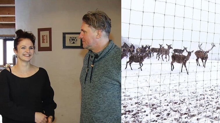 Atokioje sodyboje mėsinius galvijus ir elnius auginantys Kvekšai: yra tekę naktimis prie gyvulių ir miegoti