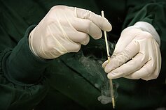 Laboratorija