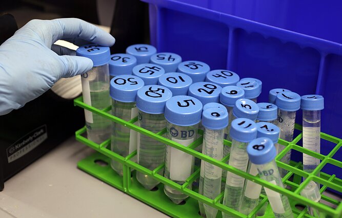 Laboratorija