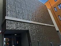 Emmanuelio Levino centras Kaune