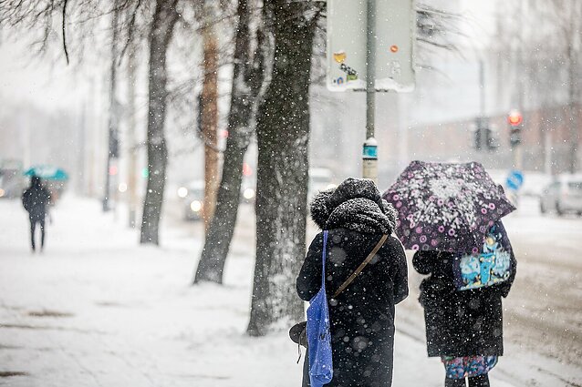 Į Lietuvą veržiasi šaltesni orai ir sniegas: siaus gūsingas vėjas, vėl teks saugotis plikledžio