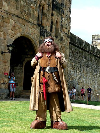 Robbie Coltrane`as filme „Haris Poteris“