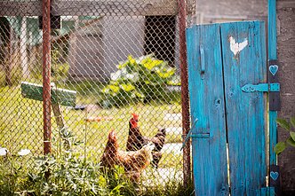 Kaimas, asociatyvi nuotr. 