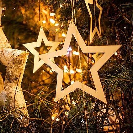 Laida rusų kalba. Stačiatikių ir sentikių bendruomenės švenčia Kalėdas