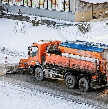 Laida rusų kalba. Gamtininkas Selemonas Paltanavičius apie gatvėse barstomą druskos mišinį ir jo poveikį gyvūnams