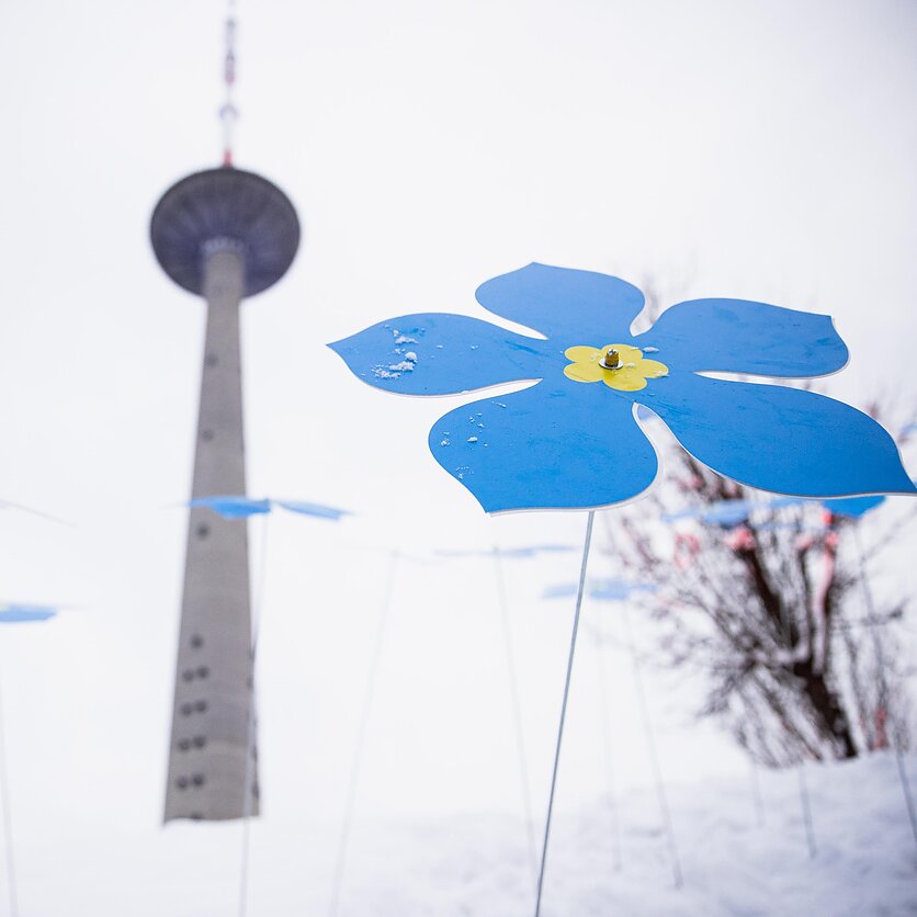 J. Stacevičiaus / LRT nuotr., Pagerbiant Laisvės gynėjų atminimą įvairiose sostinės vietose padėta gėlių ir vainikų