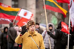 Per Sausio 13-osios renginį prie Seimo susirinko protestuotojai Per Sausio 13-osios renginį prie Seimo susirinko protestuotojai