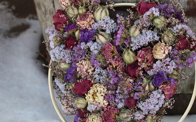 Ryškios ir gražios džiovintos gėlės: kaip tokias užsiauginti ir susidžiovinti