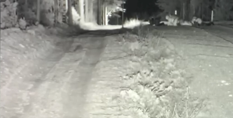 Migrantai Lietuvos sieną iš Baltarusijos kirto šliaužte: buvo įsitikinę, kad taip sistemos nepastebės