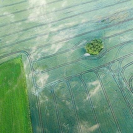 Vienkartinė planeta. Visuomeninė Lietuvos aplinkos būklės apžvalga