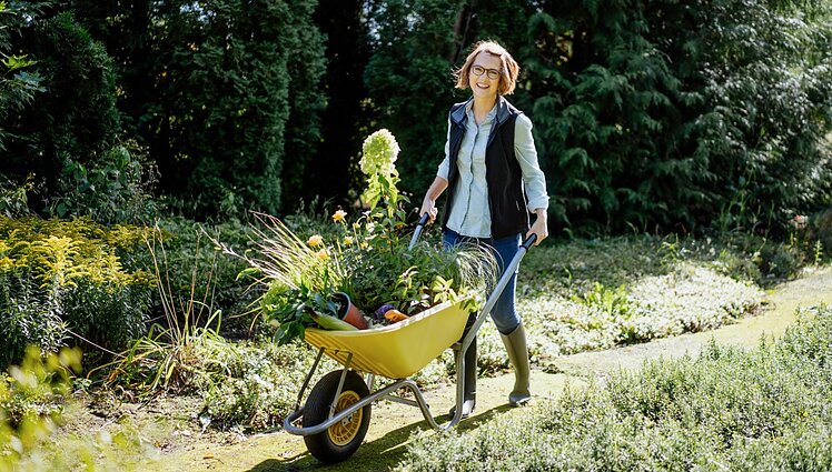 Čia mano sodas. Kambariniai augalai kaip hobis, naujos pomidorų veislės ir kaip pasirinkti tinkamus vijoklius