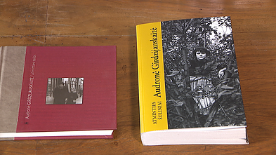 Книги Аудроне Гирдзияускайте Книги Аудроне Гирдзияускайте