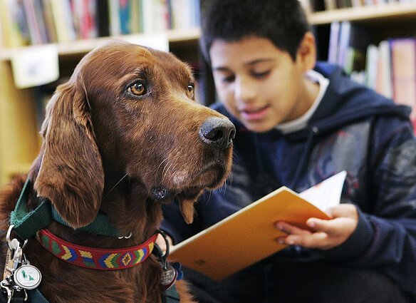 Vis daugiau bibliotekų leidžia į skaityklą atsivesti augintinį: teigia, kad svarbiausia – kultūringi šeimininkai