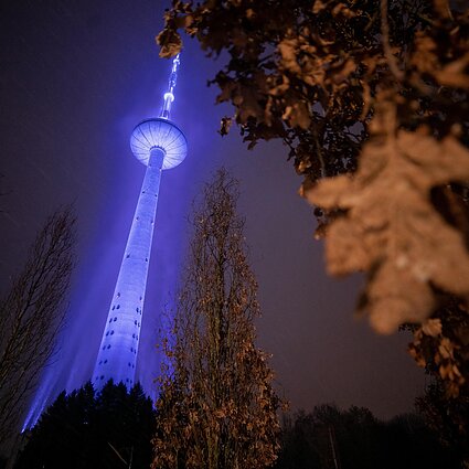 Pakeliui su klasika. Sostinę su 699-uoju gimtadieniu sveikina ir... Vilniaus televizijos bokštas