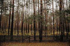 Lėtasis turizmas Lėtasis turizmas
