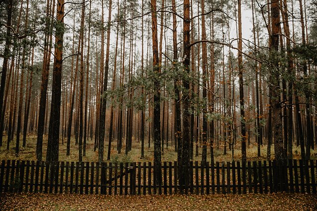 Lėtasis turizmas Lėtasis turizmas