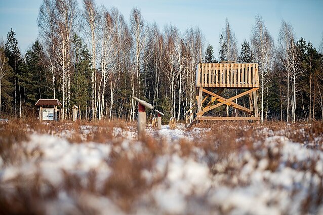 Puiki idėja marijampoliečiams ir miesto svečiams: žiemos pasivaikščiojimams – Amalvos pelkės pažintinis takas