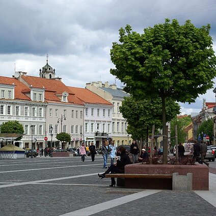 Homo cultus. Žmogus ir miestas. Apie viešų resursų valdymą – pokalbis su profesore Irma Rybnikova
