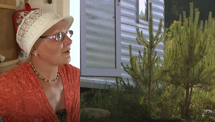 Pabėgę iš miestų žmonės kuria ekogyvenvietę Kaišiadorių rajone: čia kuklią buitį atperka švarus oras ir harmonija