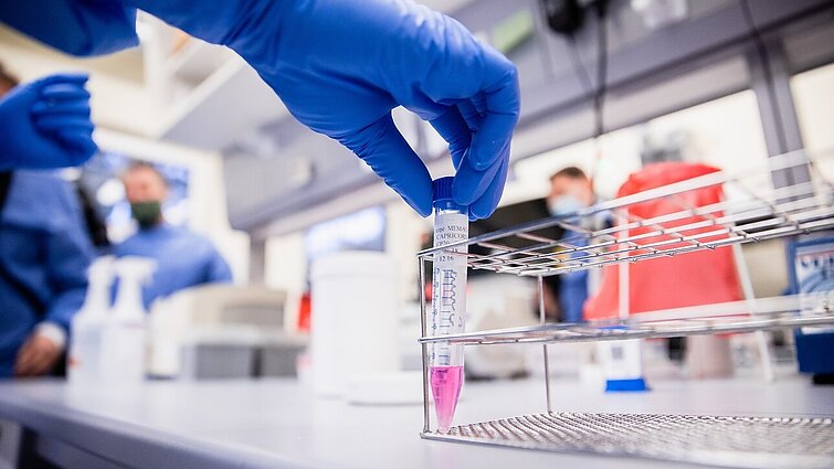 Žinios. Lietuvoje išplito COVID-19 omikron potipis, kuris, manoma, gali būti dar užkrečiamesnis