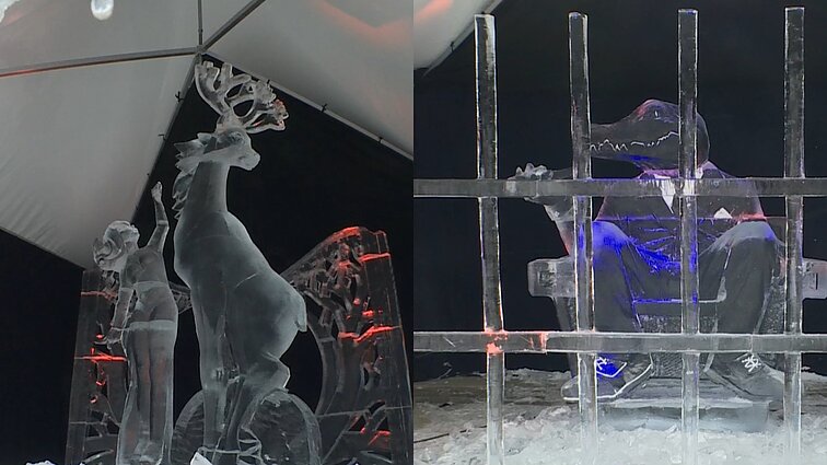 23 kartą Jelgavą puošia ledo skulptūros: darbai iliustruoja visuomenės susiskaldymą, mados aukomis tapusius gyvūnus