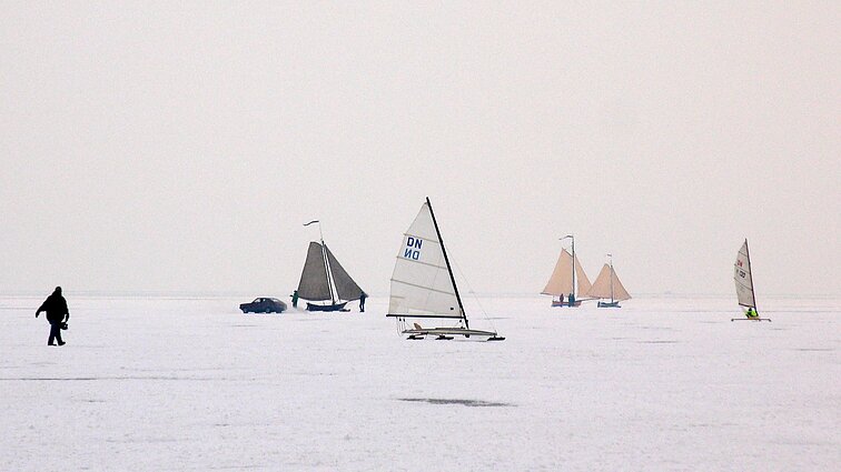 Labas rytas, Lietuva! Šeštadienis II d. Rėkyvos ežero ledu skrieja ledrogės: čia varžosi ir Lietuvos, ir Europos sportininkai