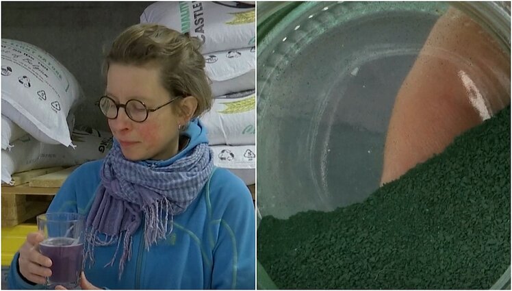 Nauja aludarių tradicinio gėrimo variacija: išgauti mėlynai spalvai naudojamas netradicinis ingredientas – dumbliai