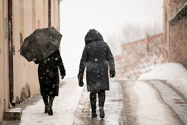 Artimiausiomis dienomis laikysis minimali minusinė temperatūra, gali formuotis plikledis