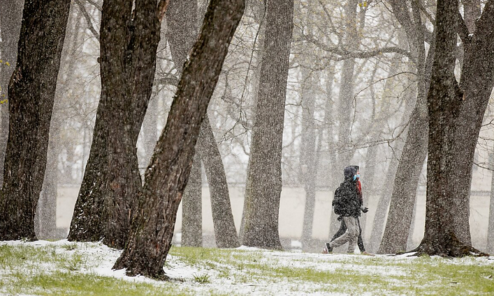 Eurolygos krepšininkai meta žingsnių iššūkį – kas daugiau nueis?