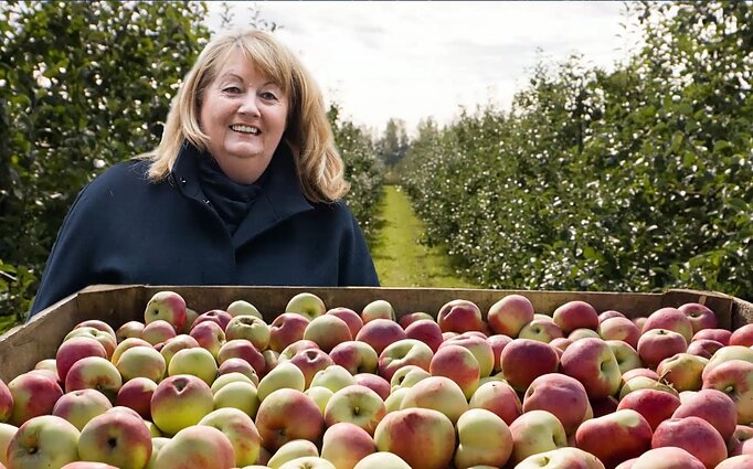 Dviračio žinios. Blinkevičiūtės išpažintis, Vilnius – sveikiausias miestas bei naujasis Trakų logotipas
