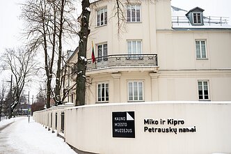 M. ir K. Petrauskų namai