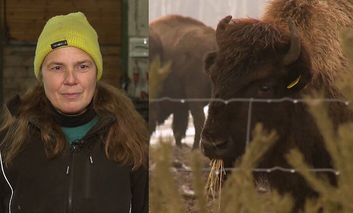 Molėtų rajone buvusioje kolūkio fermoje įsikūrusi Anna: su šeima paliko Daniją ir atrado laimę ūkyje